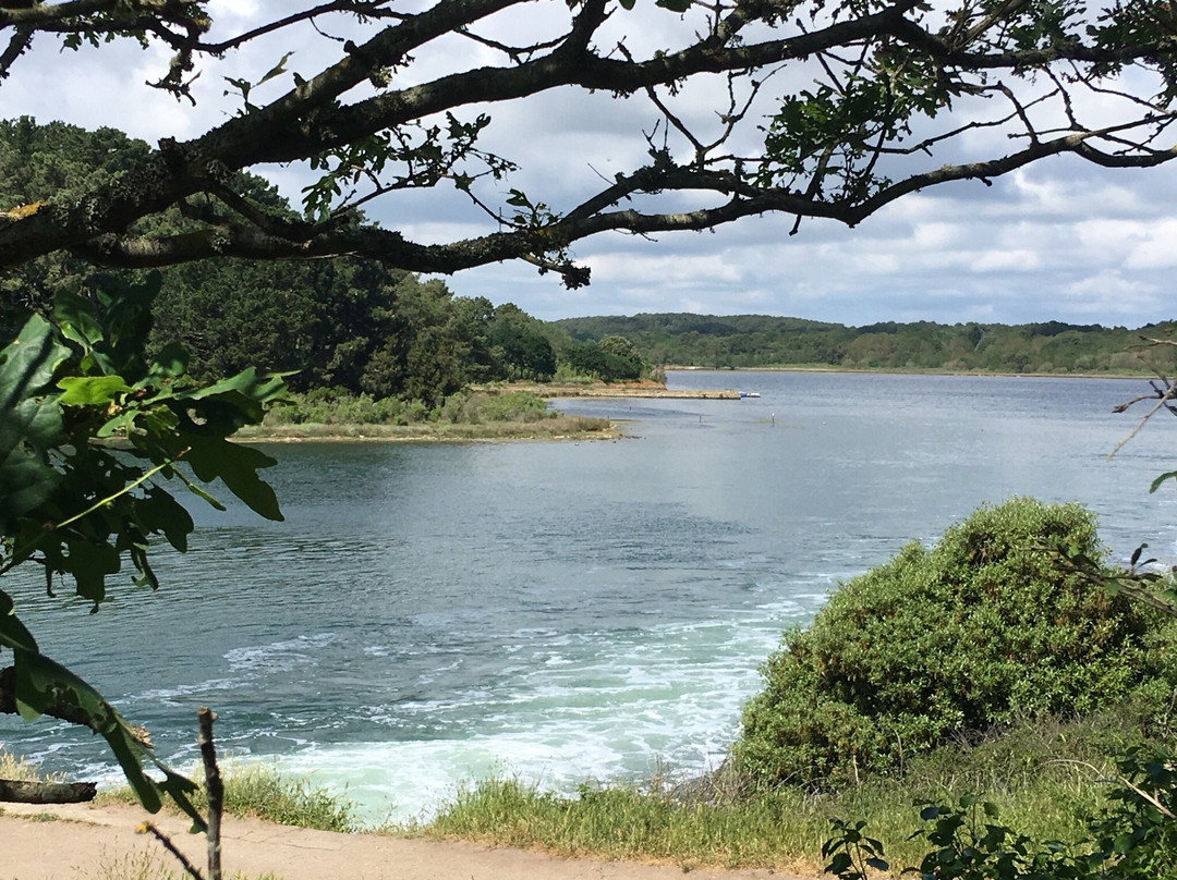 Baden旅游攻略图片