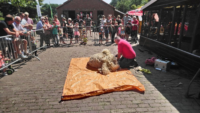 Kinderboerderij Otterspoor-马尔森必去景点