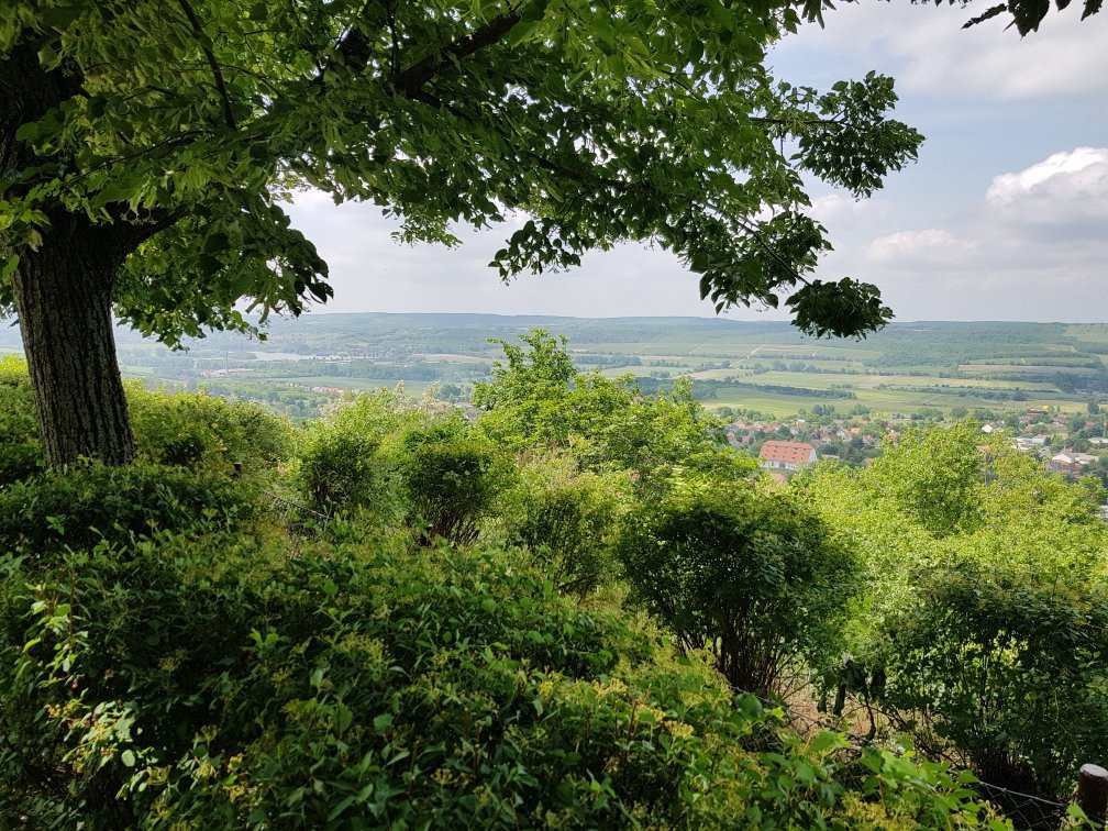 Pannonhalma旅游攻略图片