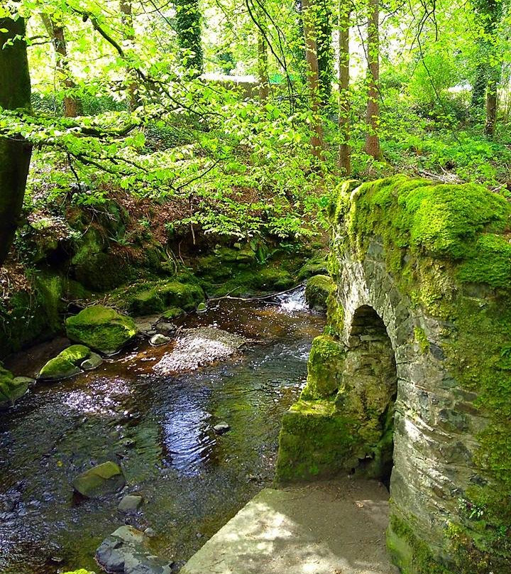 Gosford Forest Park景点图片