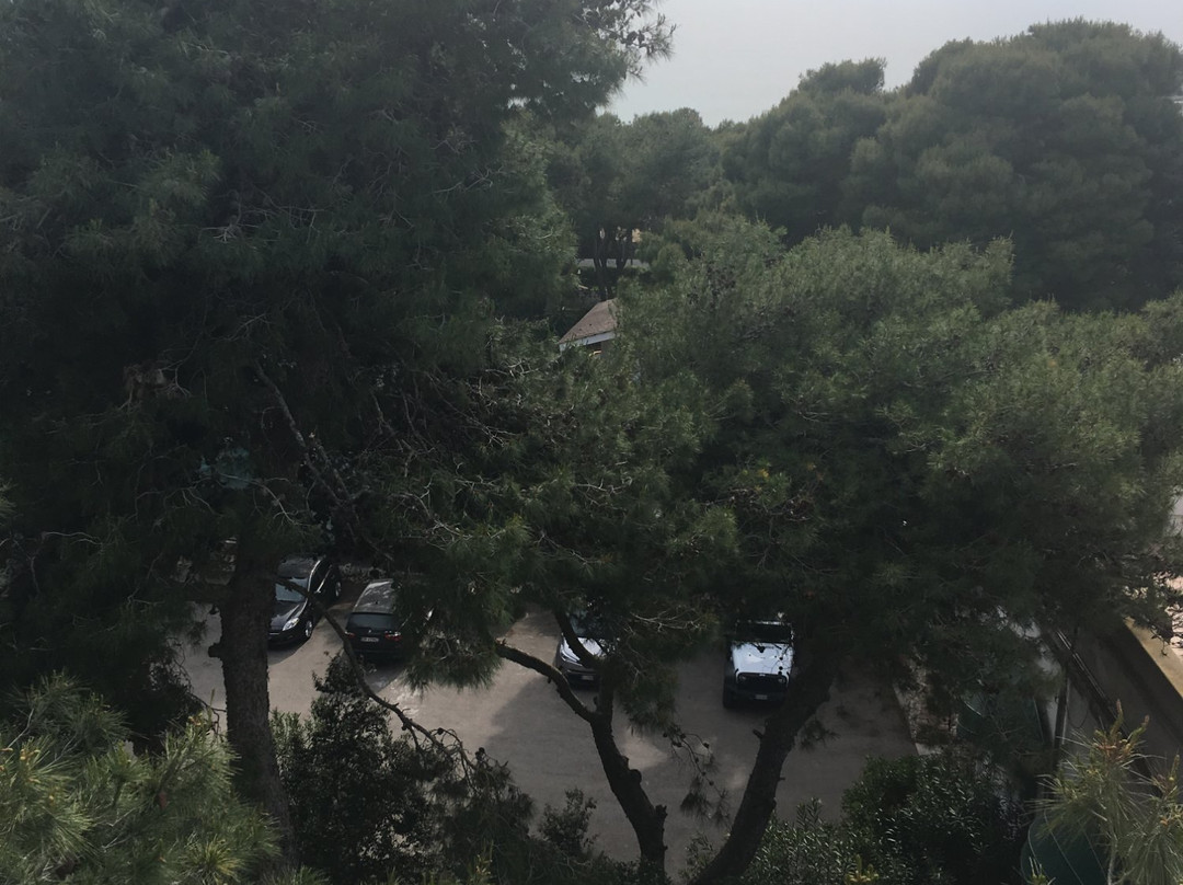 伊登公园酒店主图