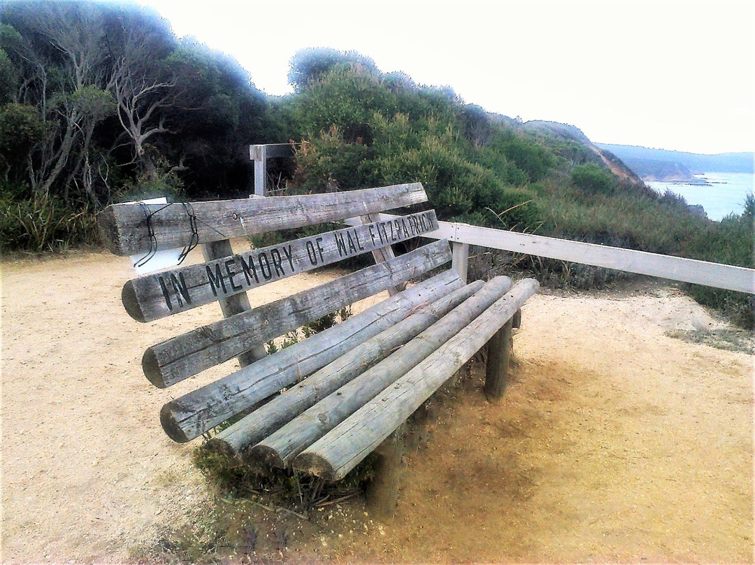 Fitzpatrick Seat-Aireys Inlet必去景点