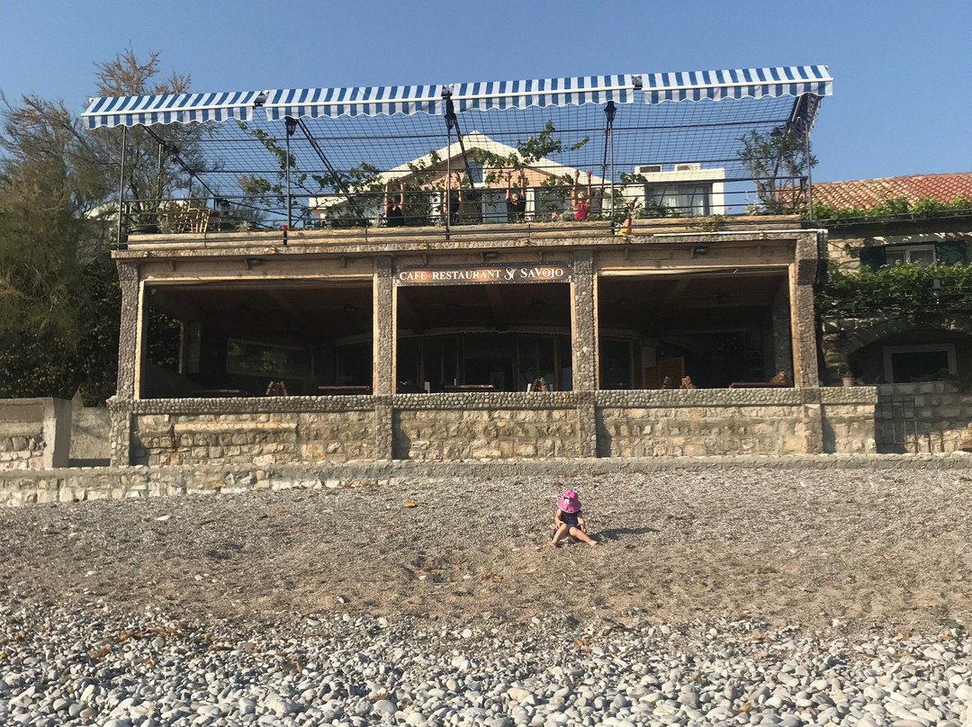 Hotel Savojo主图