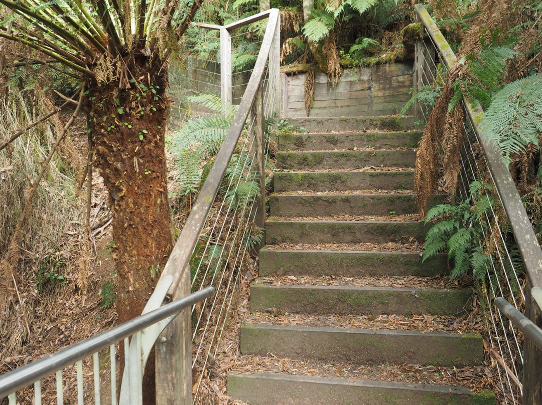 Little Aire Falls-Beech Forest必去景点