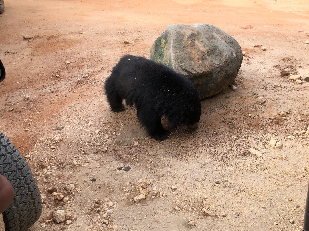 Bundala Safari And Village Experience-蒂瑟默哈拉默必去景点