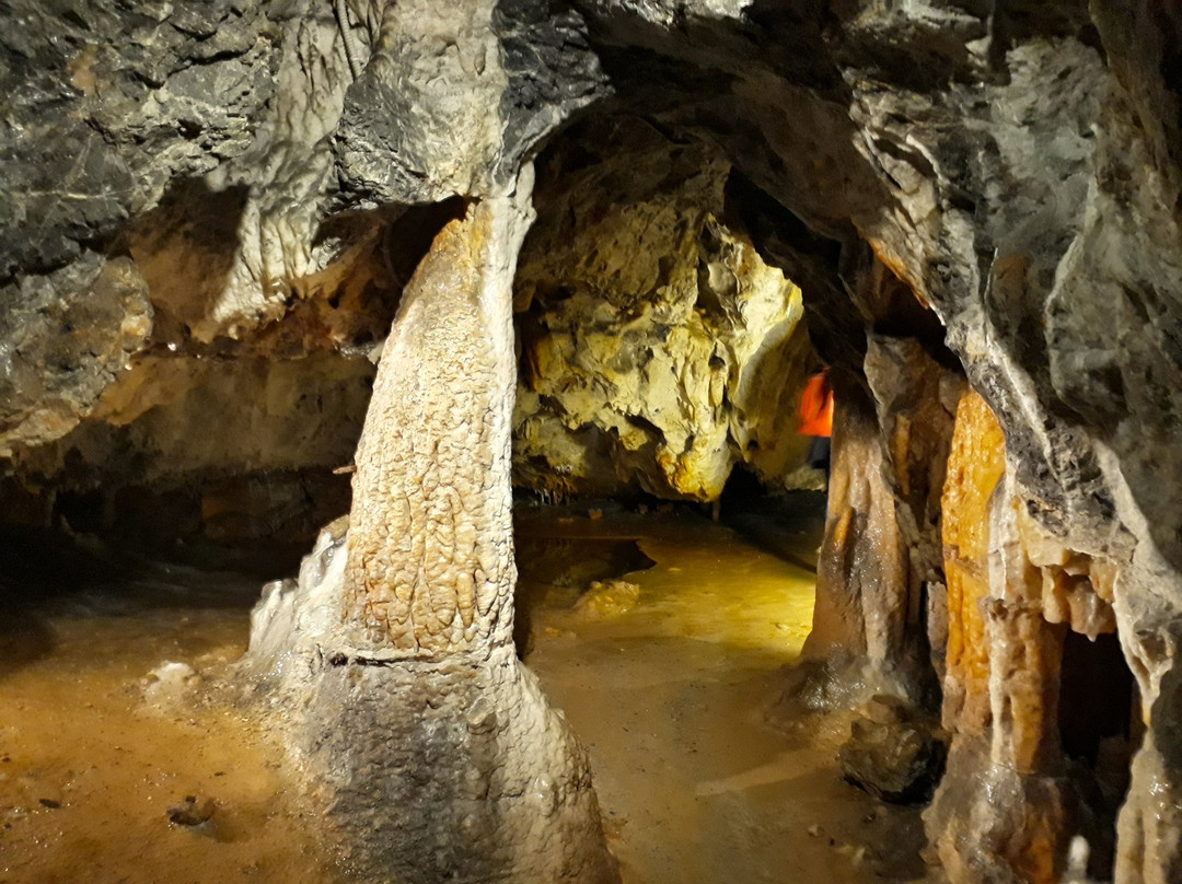 Villanova Mondovi旅游攻略图片