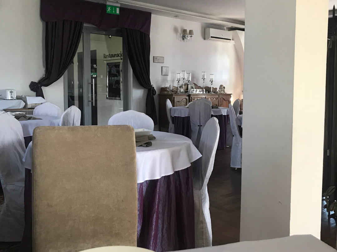 Hotel Villa Stary Kalisz主图