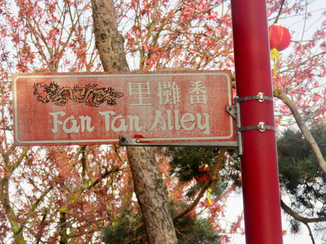 Fan Tan Alley景点图片