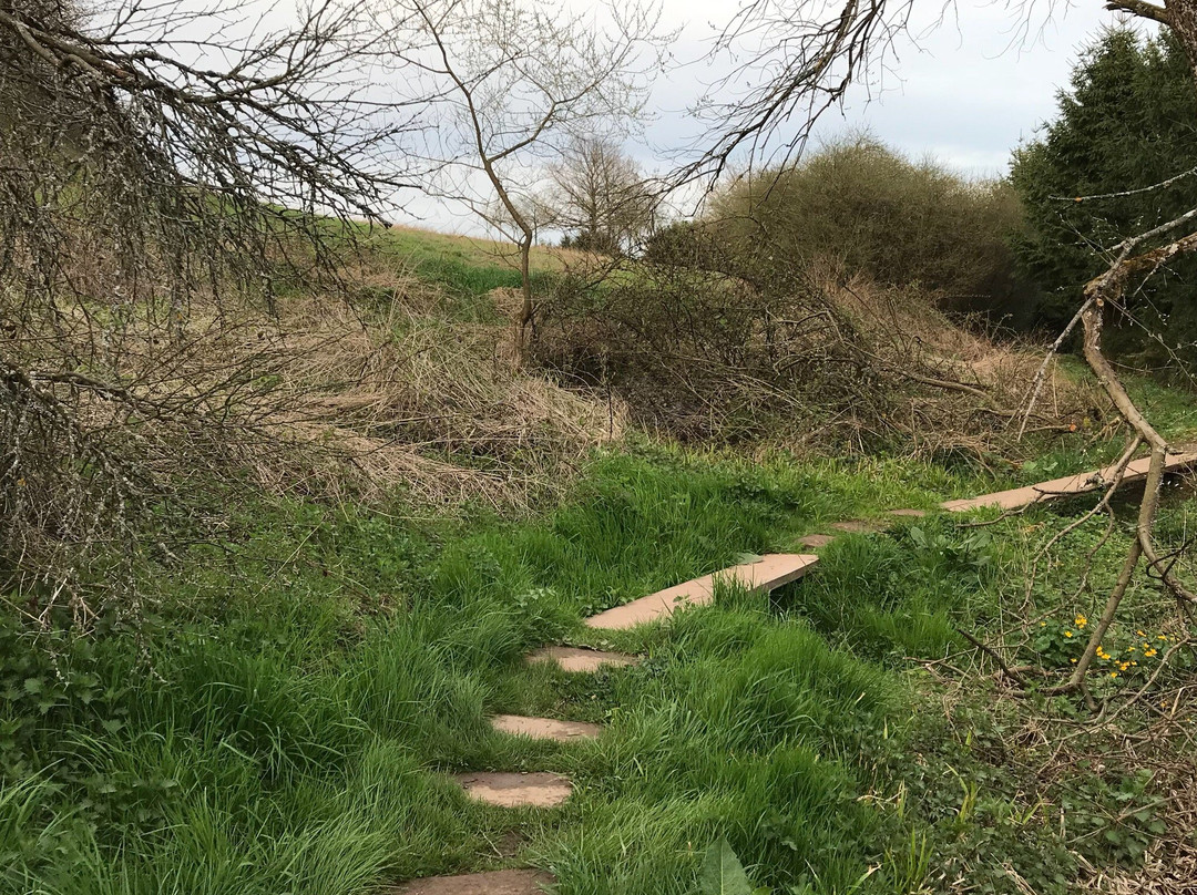 Schauinslandweg-Ottweiler必去景点