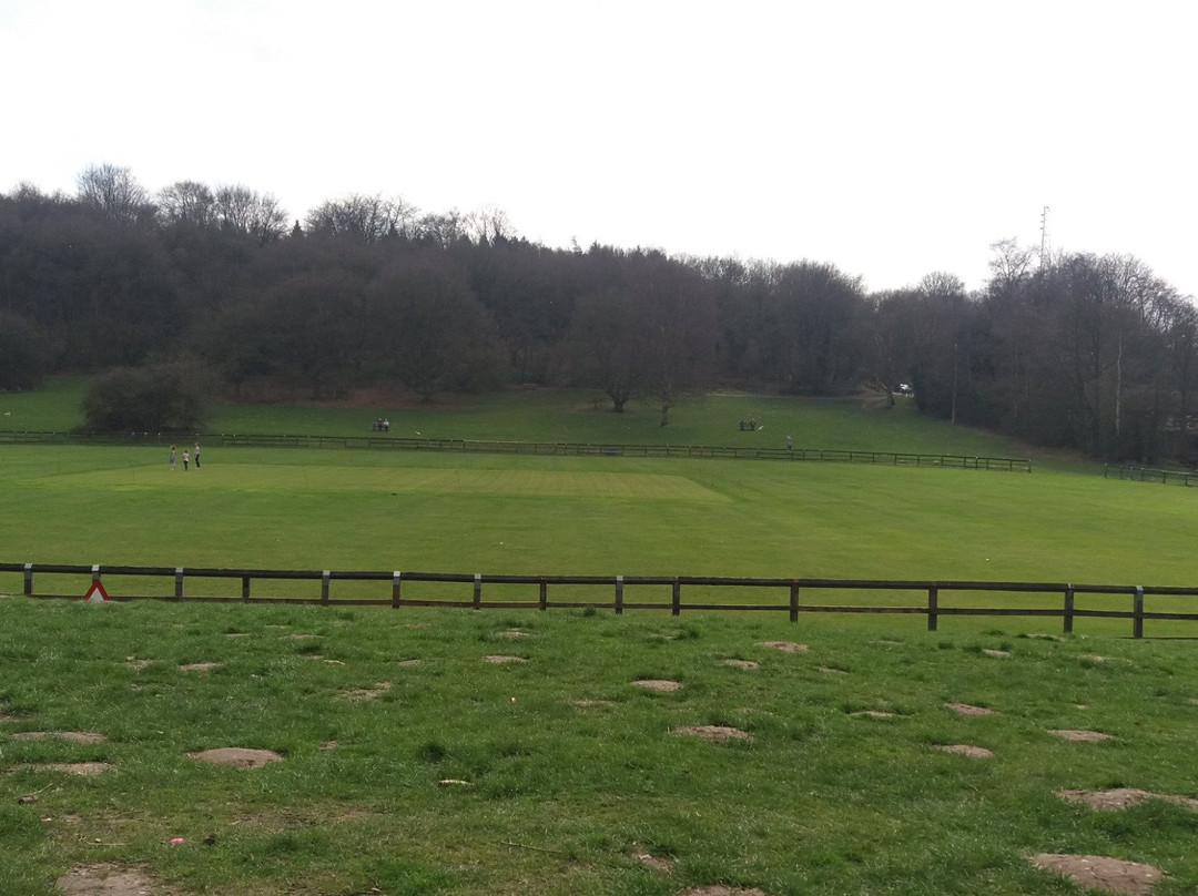 Burntstump Country Park景点图片