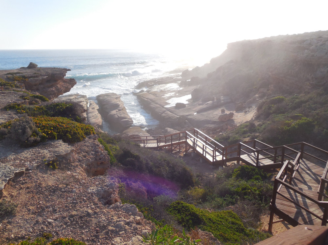 维纳斯湾旅游攻略图片
