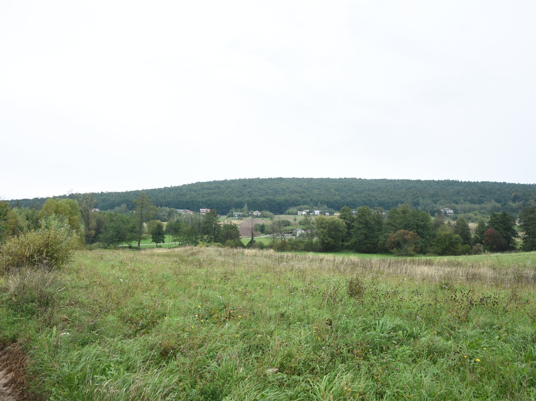 Rezerwat Chełmowa Góra-Nowa Slupia必去景点