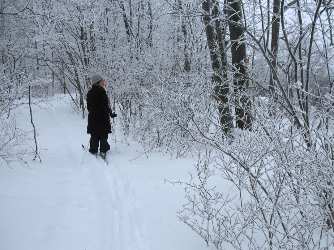 Dreaming Roses Eco-B&B主图