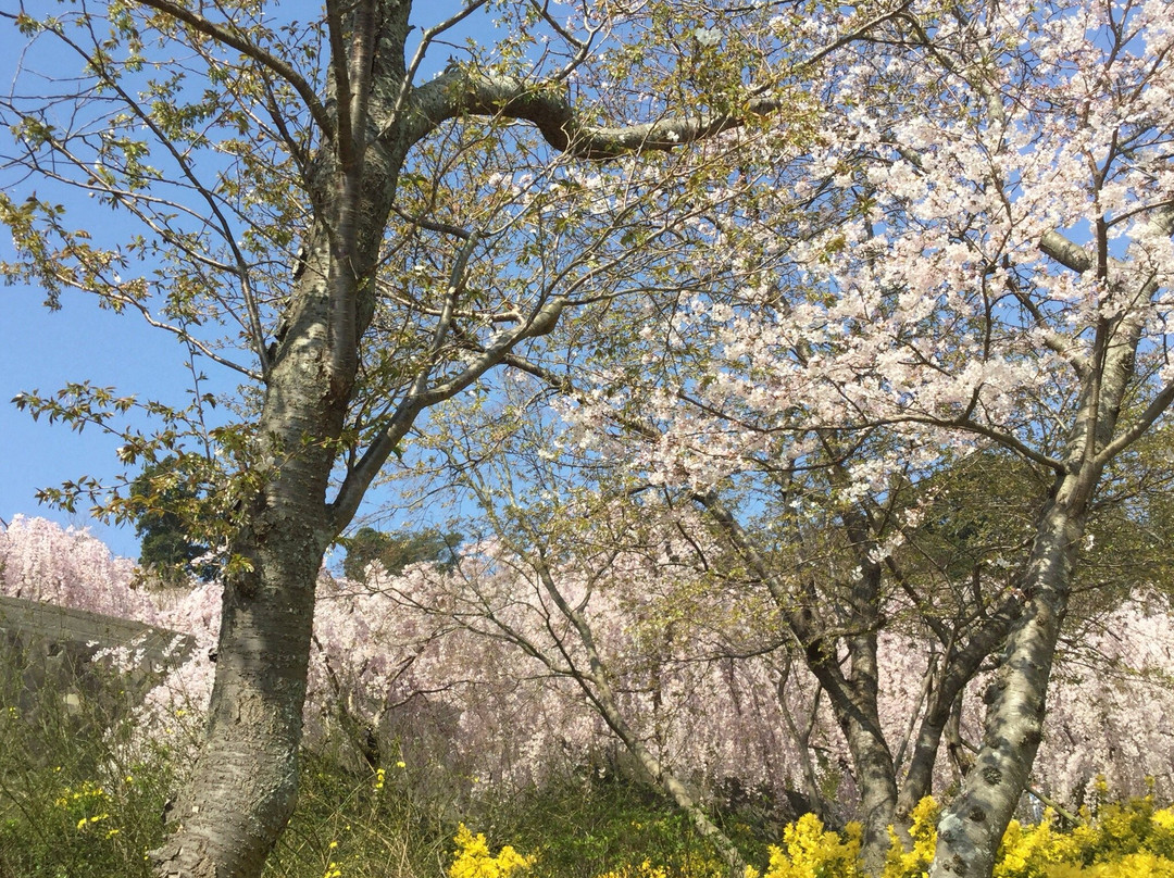Hanamiyama Shin No Tegamikan-鸣门市必去景点