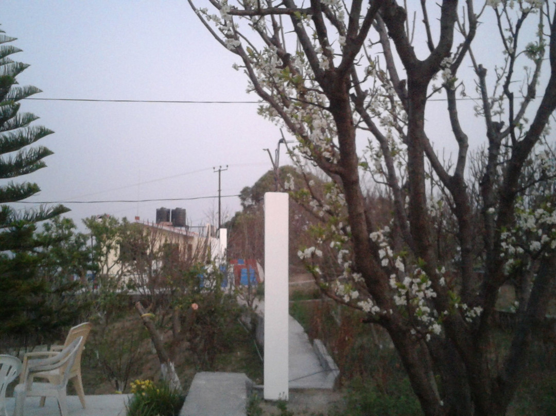 Green Pigeon Cafe And Luxury Home Stay主图