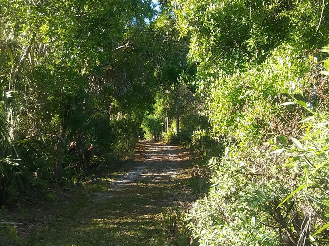 Pinelands Preserve-圣露西港必去景点