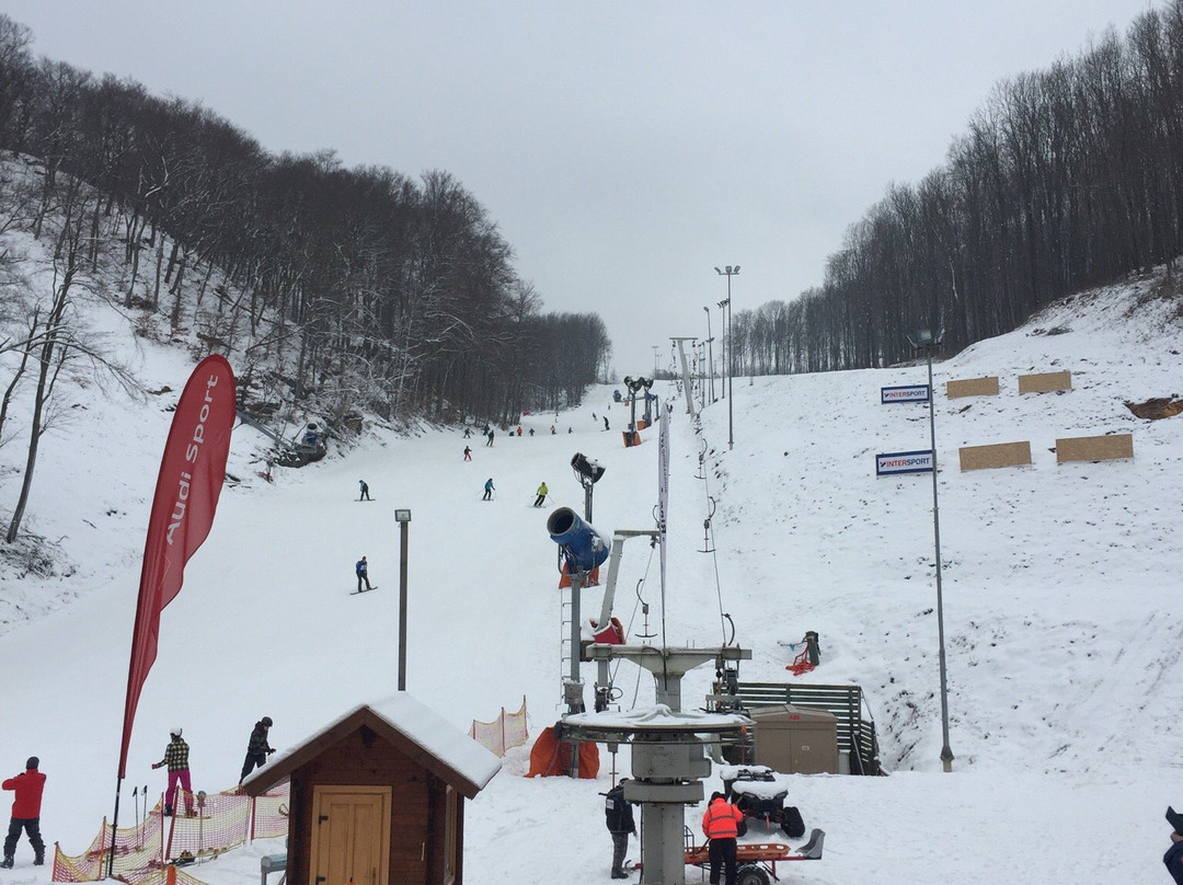 Intersport Ski Arena Eplény, Bike Arena景点图片