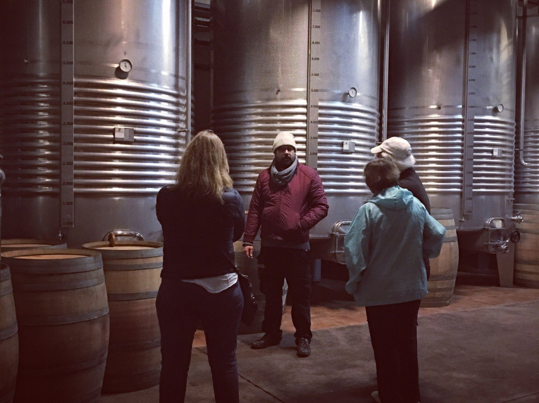 Tannin Trail-马贝拉必去景点