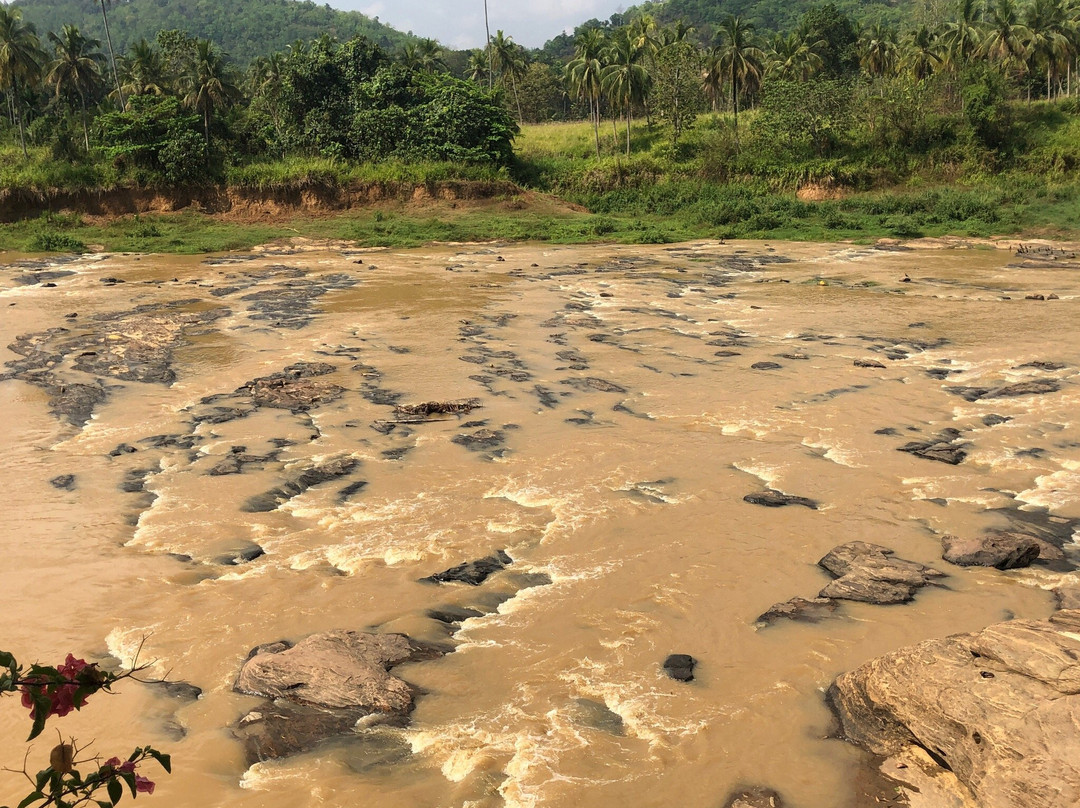 Luv SL-品纳维拉必去景点