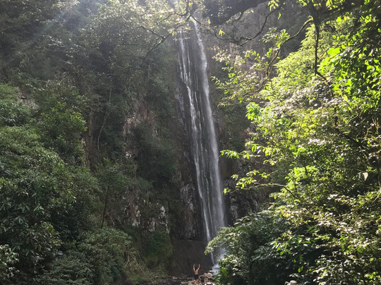 Cachoeira do Bizungo-Morro Grande必去景点