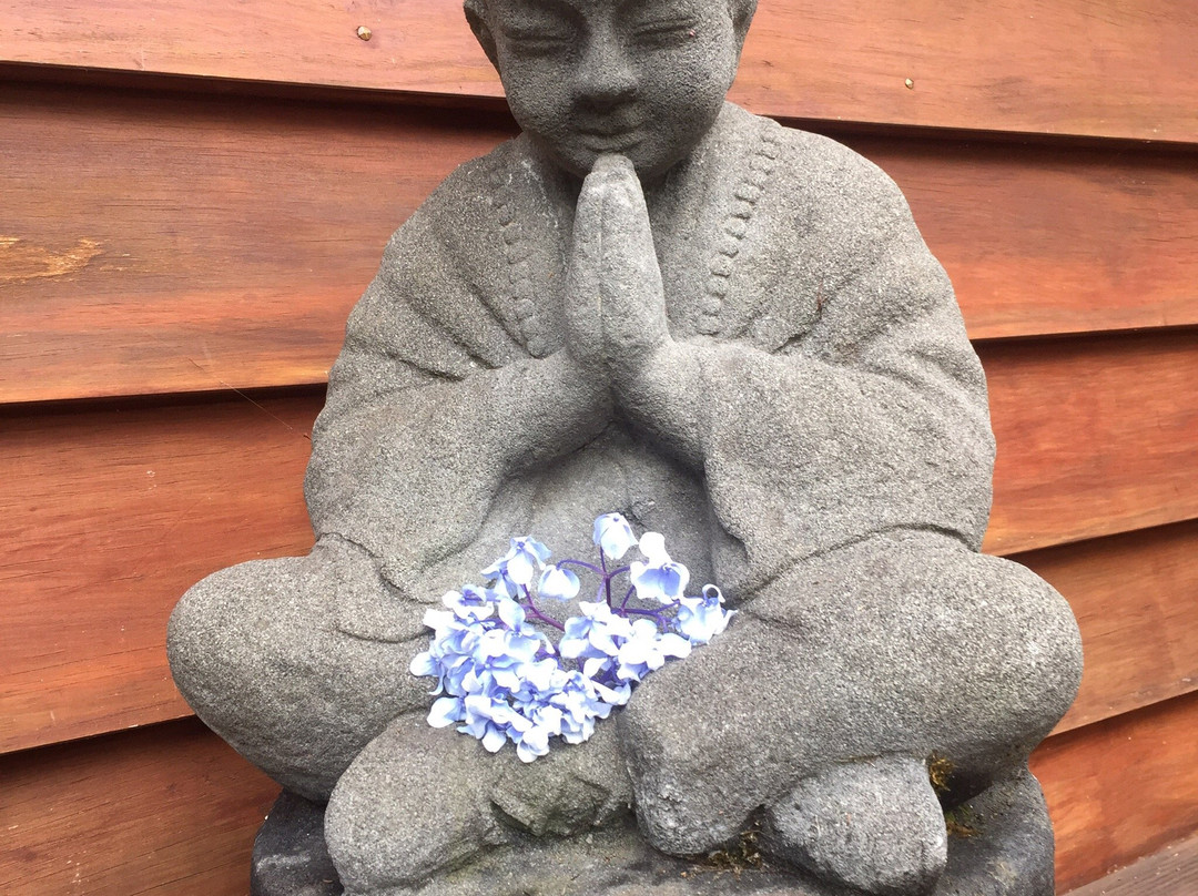 Cocozen Lodge and Spa主图