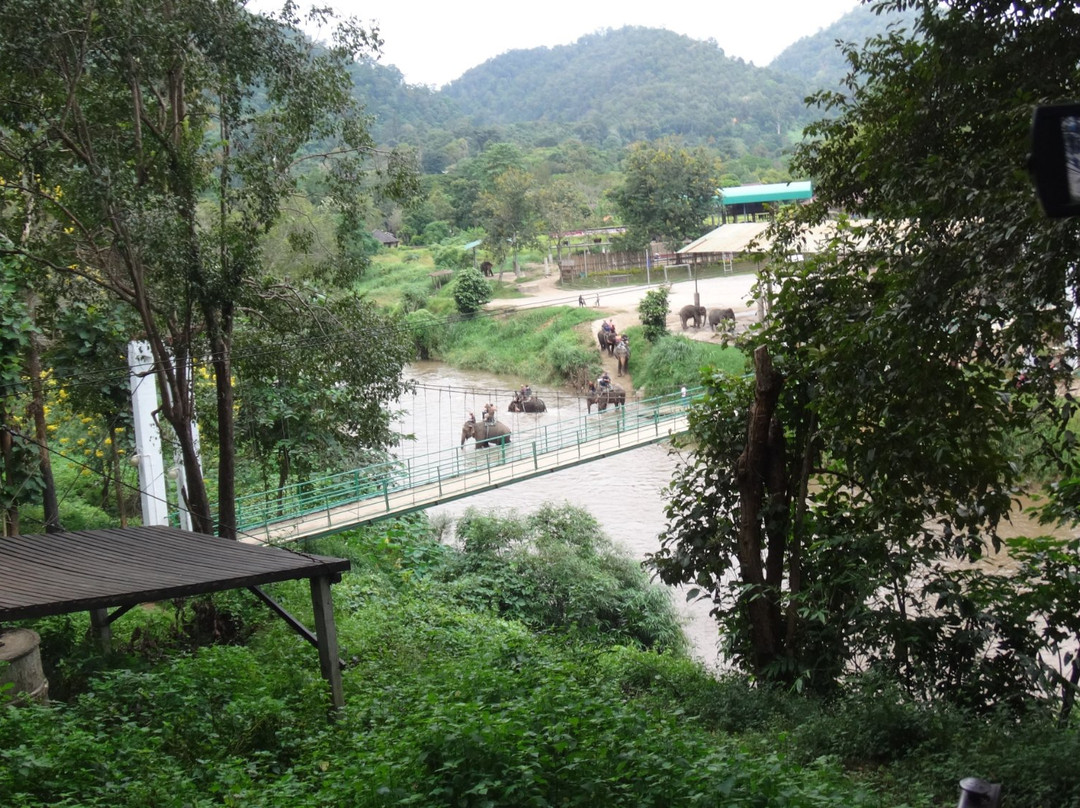 Pong Yang Elephant Camp景点图片