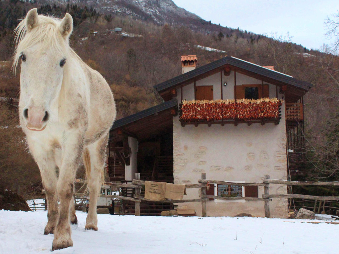 Agriturismo Le Robie