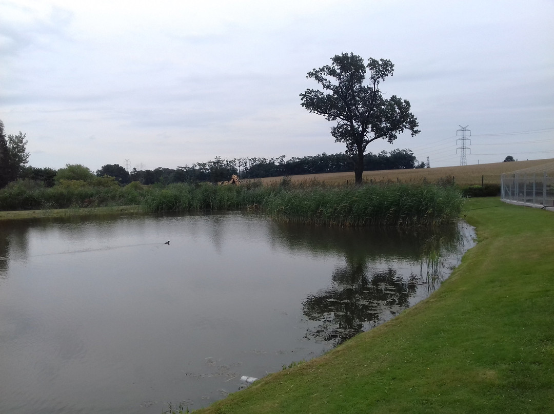 Pstrazna旅游攻略图片