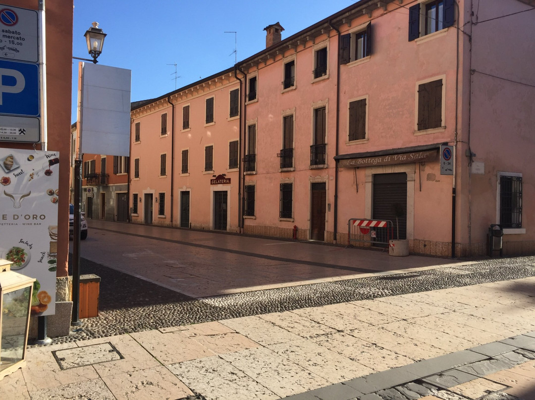 Palazzo comunale di Valeggio sul Mincio景点图片