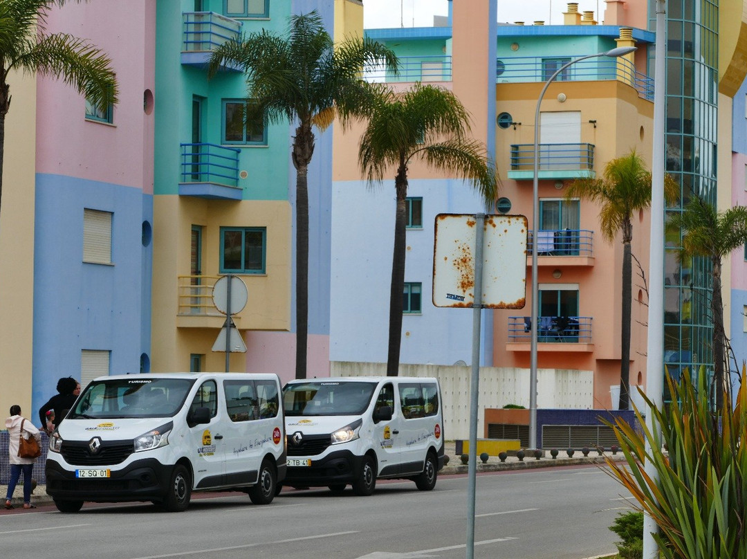 Gale Holidays - Private Cab & Transfers景点图片