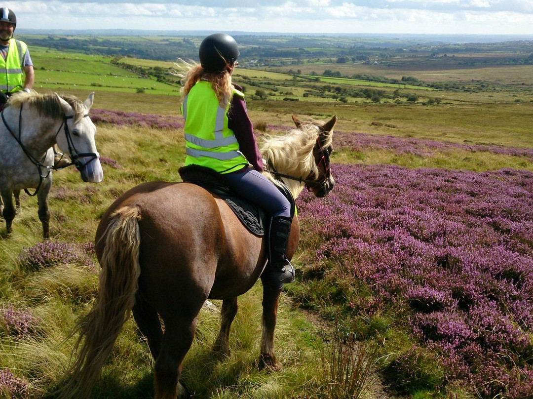 Preseli Pony Trekking-Mynachlogddu必去景点