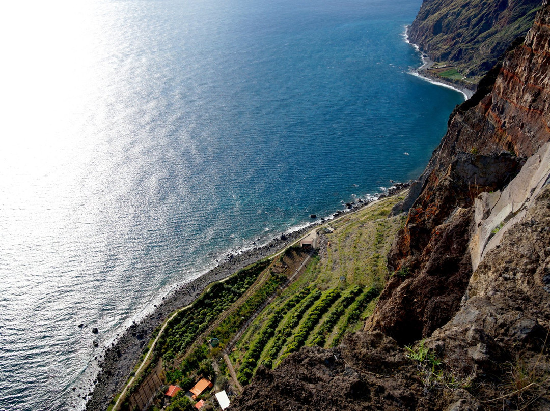 null-Camara De Lobos