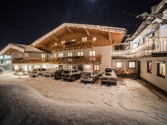 Aparthotel Steger主图