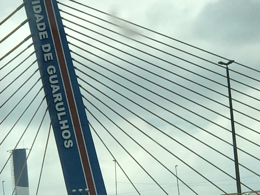Ponte Estaiada de Guarulhos-瓜鲁柳斯必去景点