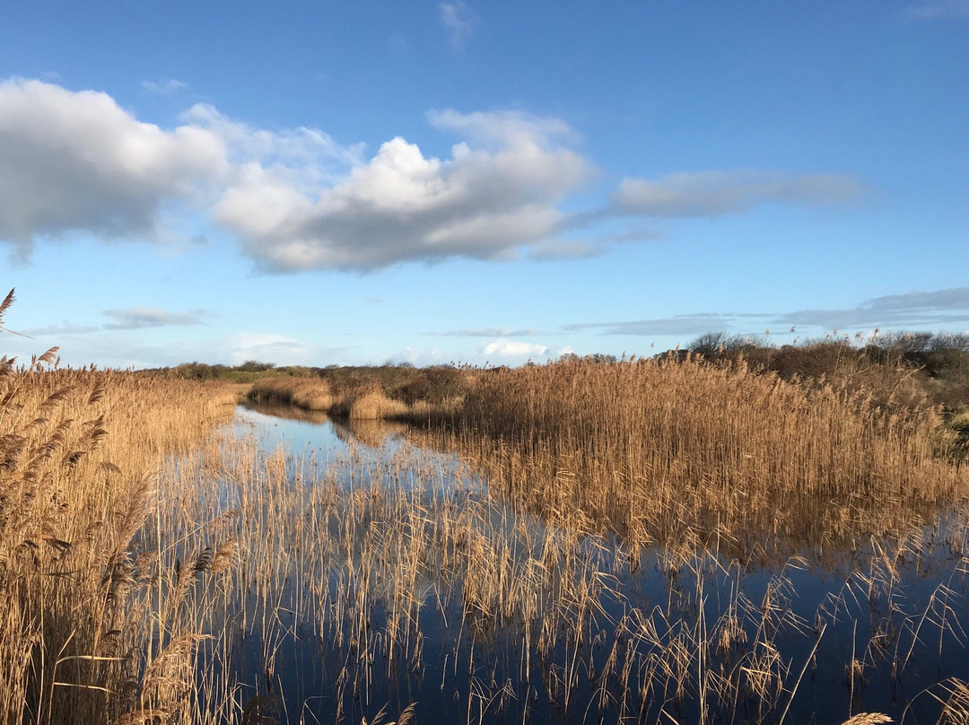 Schiermonnikoog旅游景点-Nationaal Park Schiermonnikoog