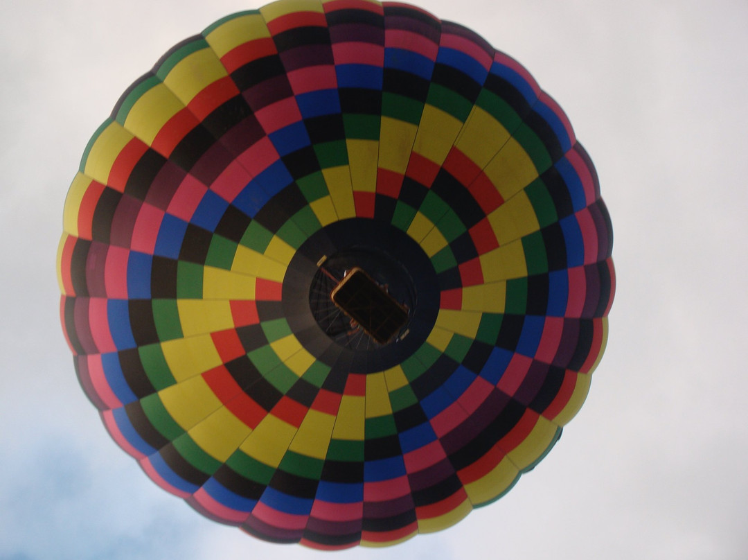 Air Escargot景点图片