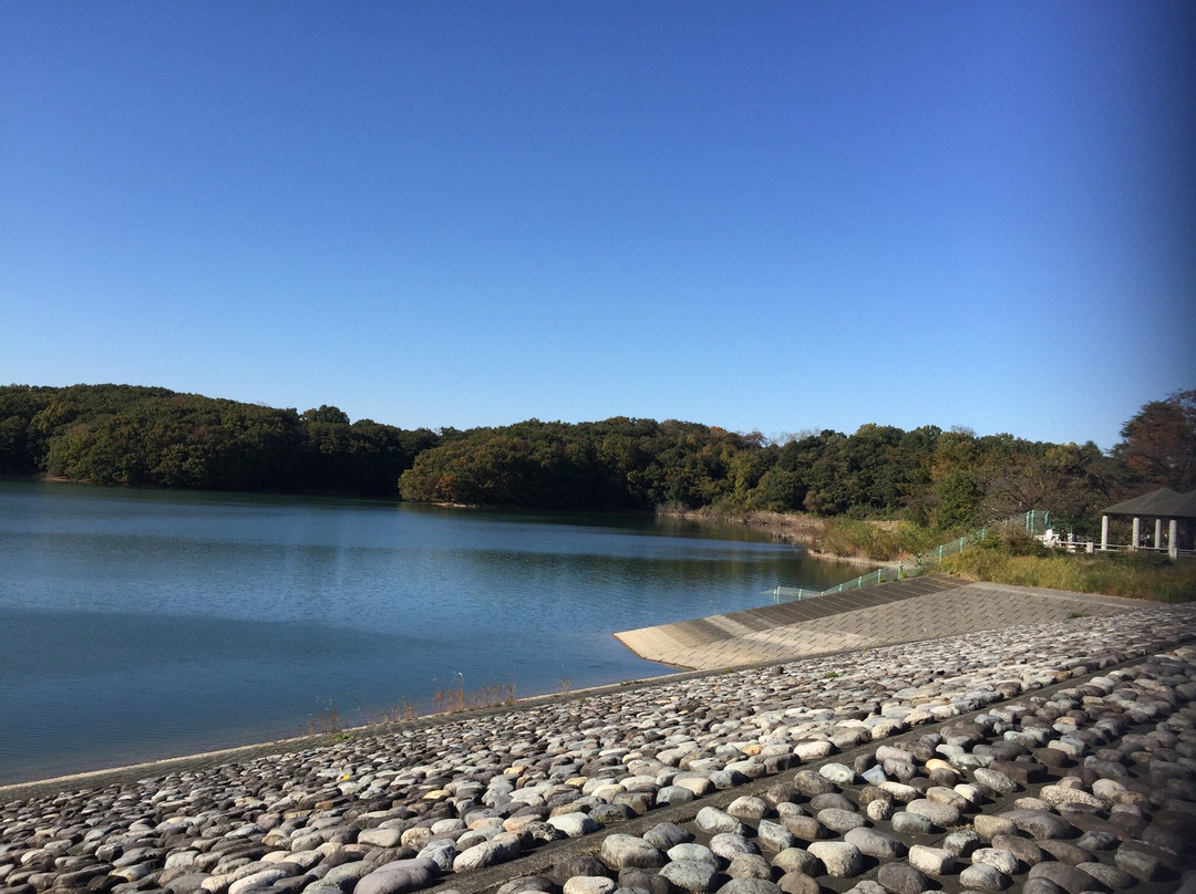 Lake Sayama景点图片