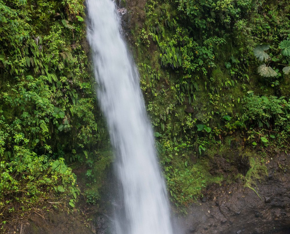 La Paz Waterfall Gardens景点图片