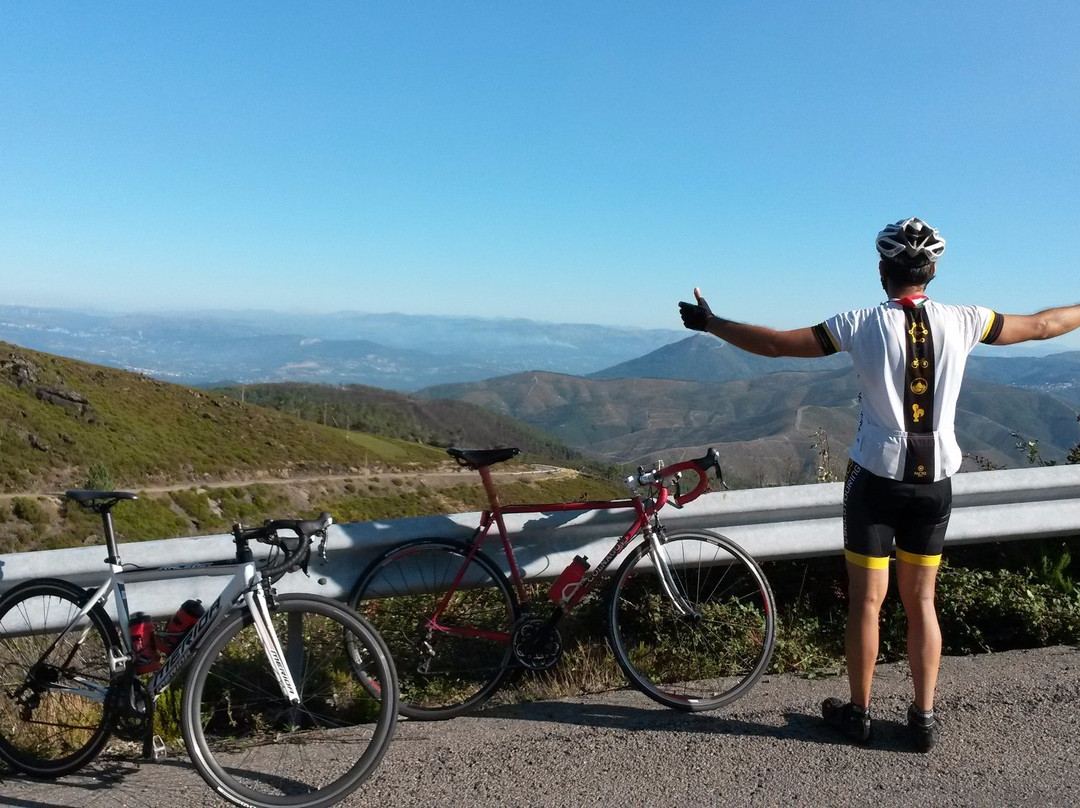 Wheel Nuts Cyclotouring景点图片