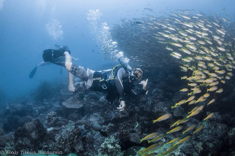 PKT Diving-大皮皮岛必去景点