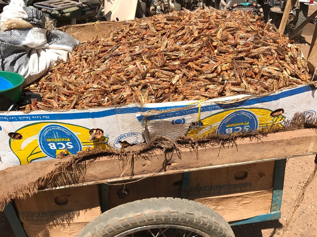 Grand Marché-尼亚美必去景点