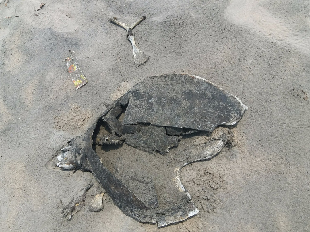 Manginapudi Beach-Machilipatnam必去景点