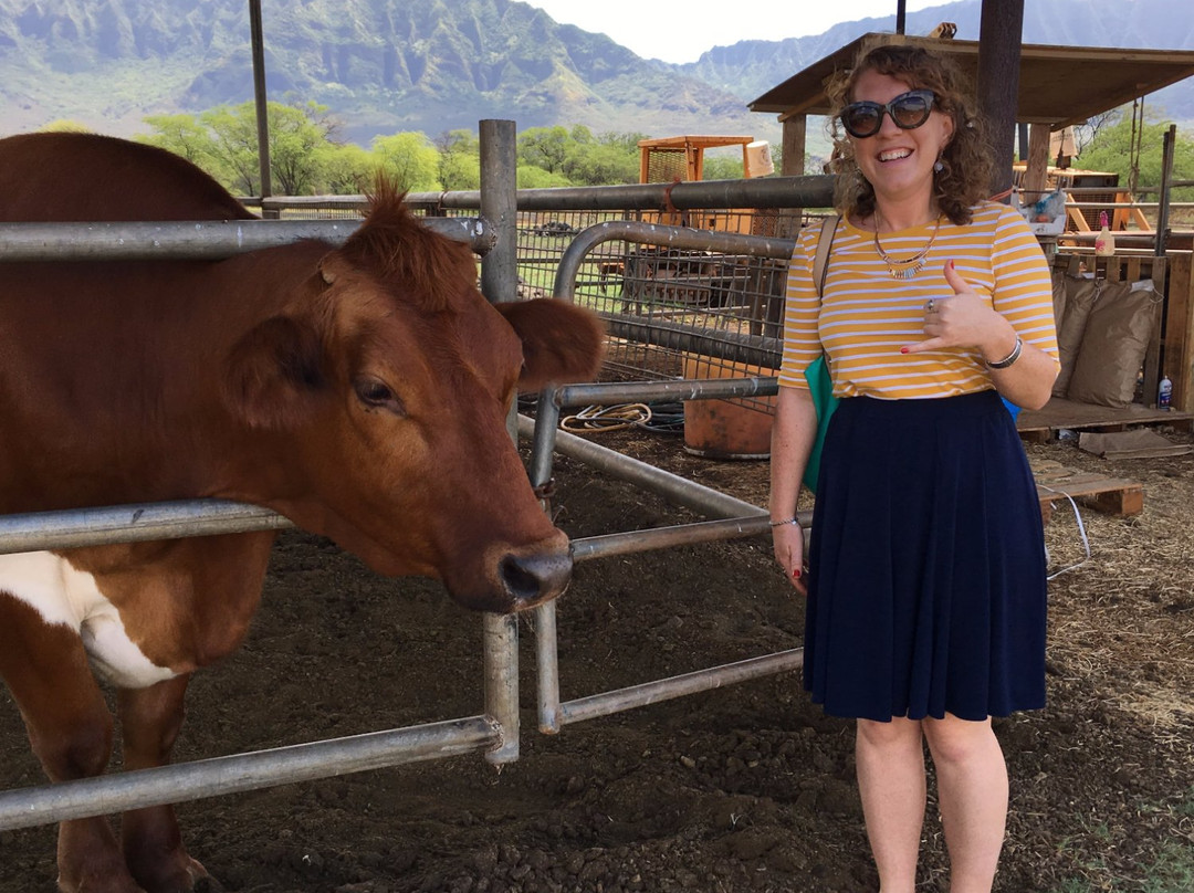 Naked Cow Dairy Farm & Creamery-怀厄奈必去景点