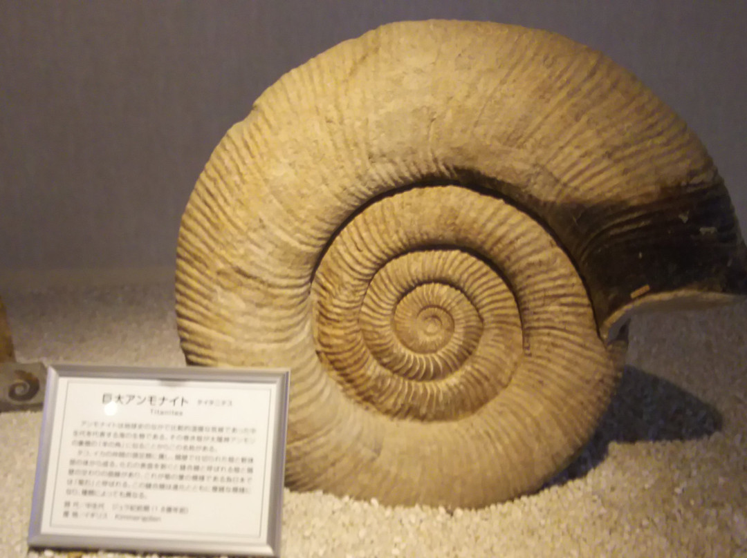 Takeshima Fantasy Museum-蒲郡港必去景点