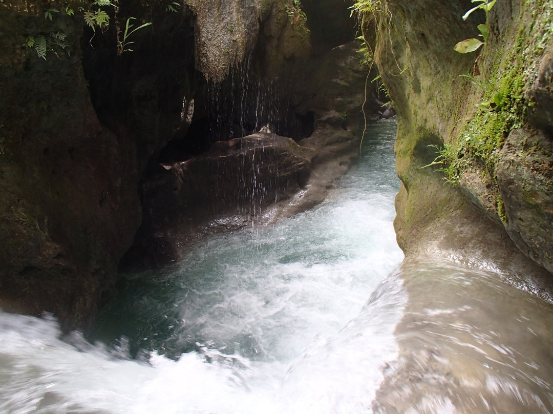Canyoneering Alegria Cebu景点图片