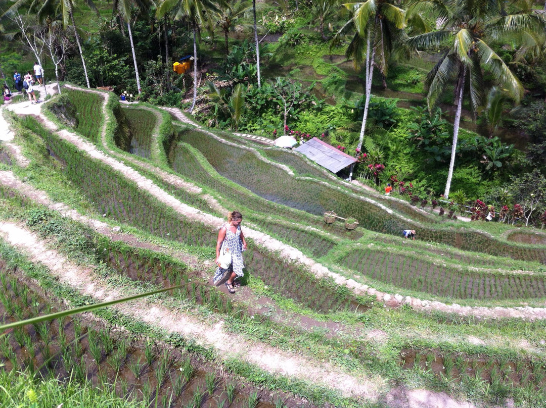 Agos Bali Travel-金巴兰必去景点