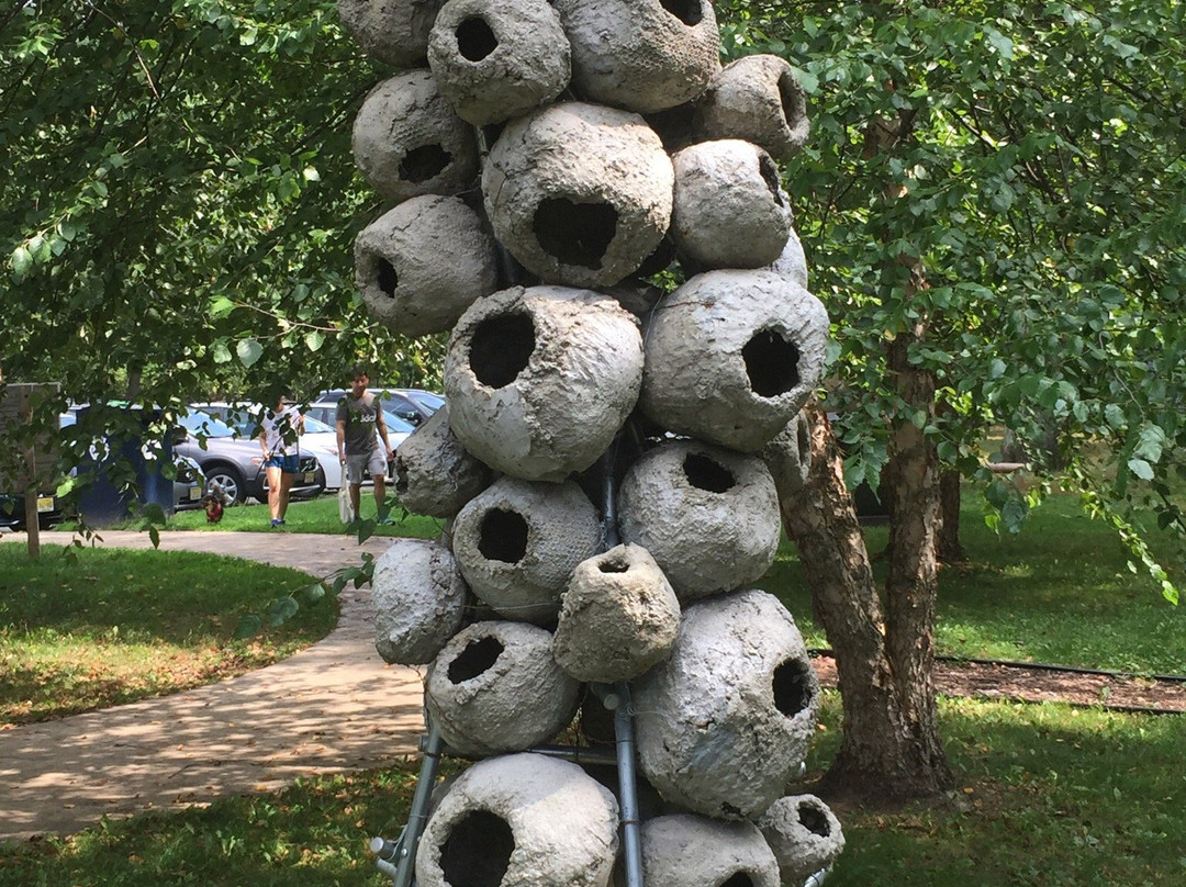 Wildflower Sculpture Park-Maplewood必去景点