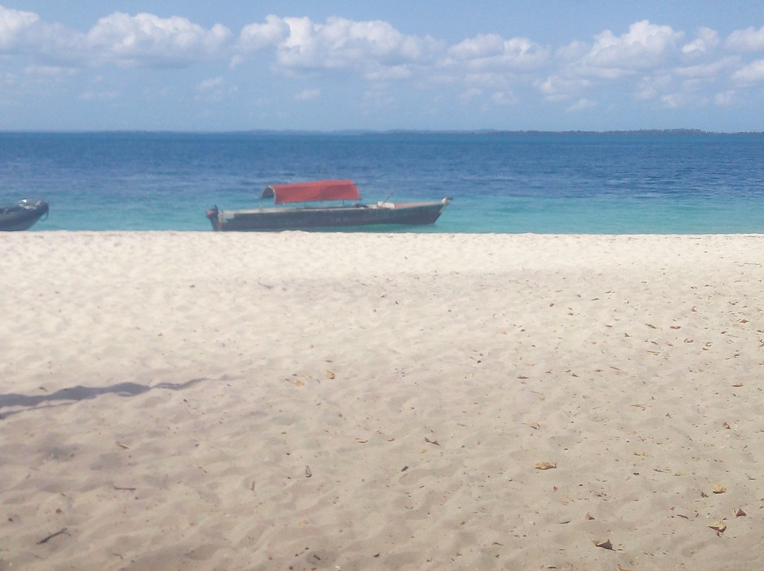 Misali island-奔巴岛必去景点