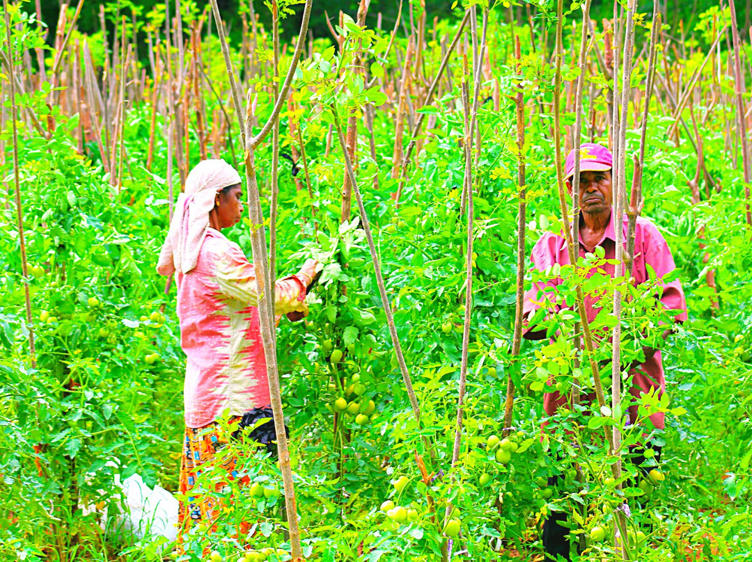 Etili Village Experience-埃勒必去景点