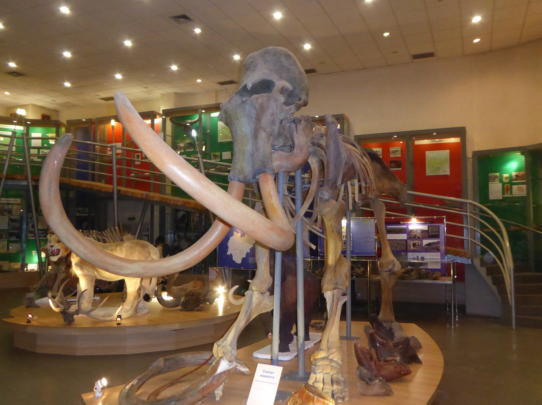 Mammoth Museum景点图片
